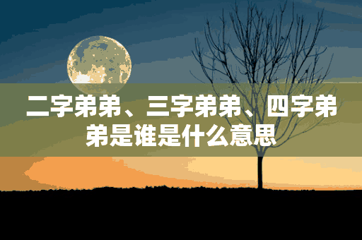 二字弟弟、三字弟弟、四字弟弟是谁是什么意思